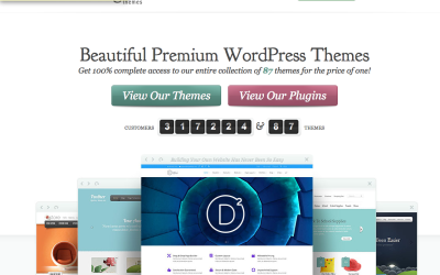 Relaunch einer Webseite und Schnellstart mit Divi von Elegantthemes