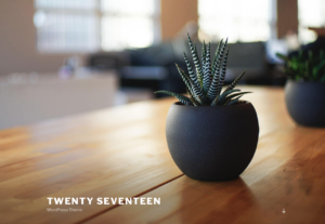 Twenty Seventeen WordPress Theme